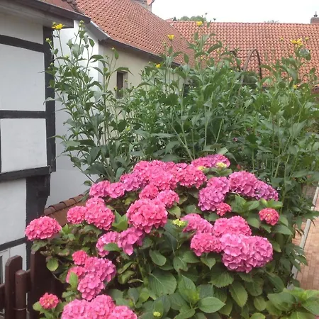 Appartementanlage Tecklenburger Altstadt *